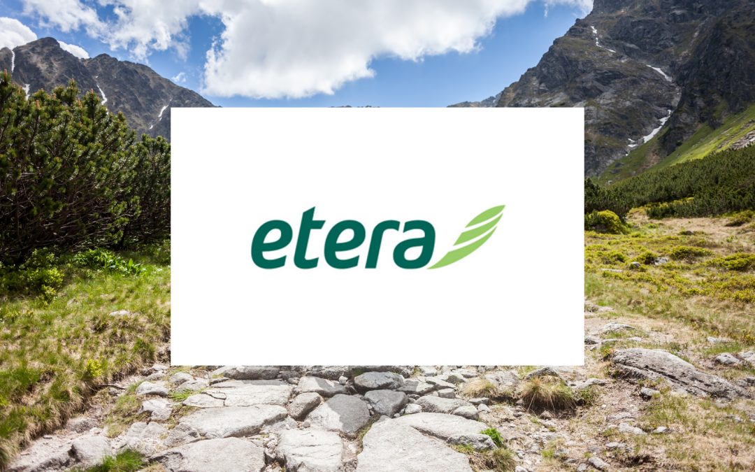 Assessment Case Story: Etera IT development agilification