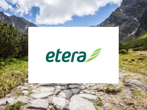 Assessment Case Story: Etera IT development agilification