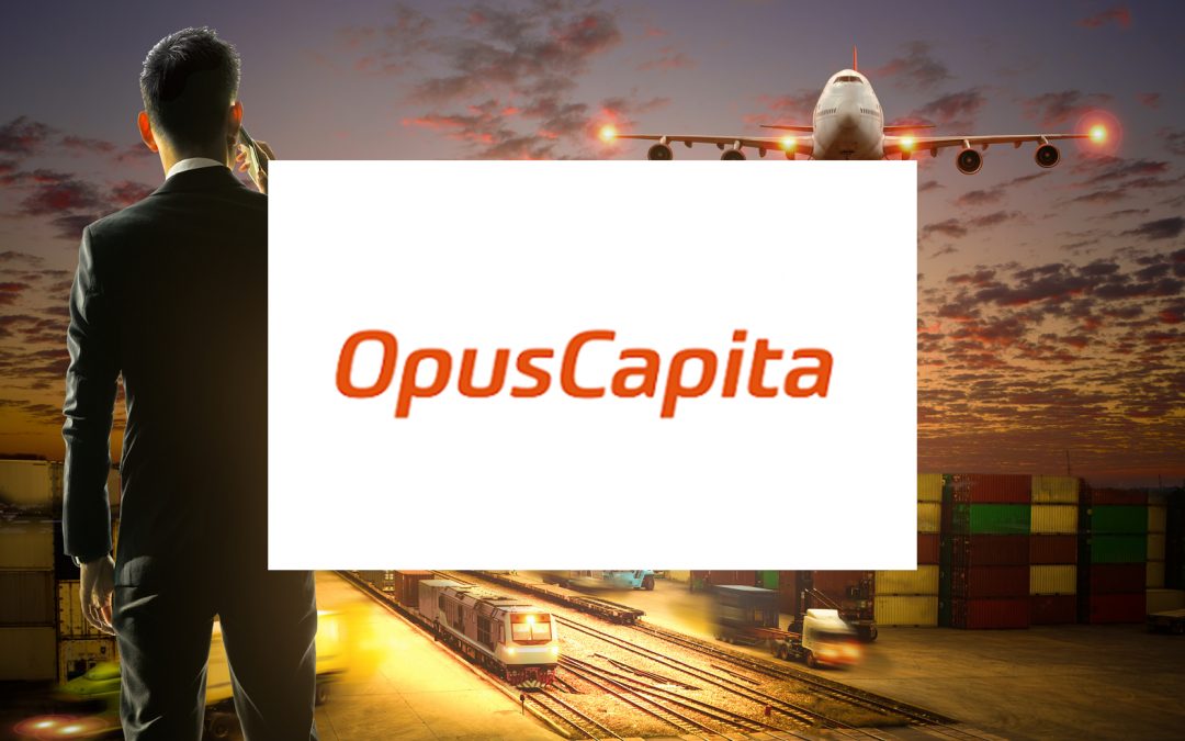 Case Opus Capita: Clarifying Product Management Responsibilities and Tasks